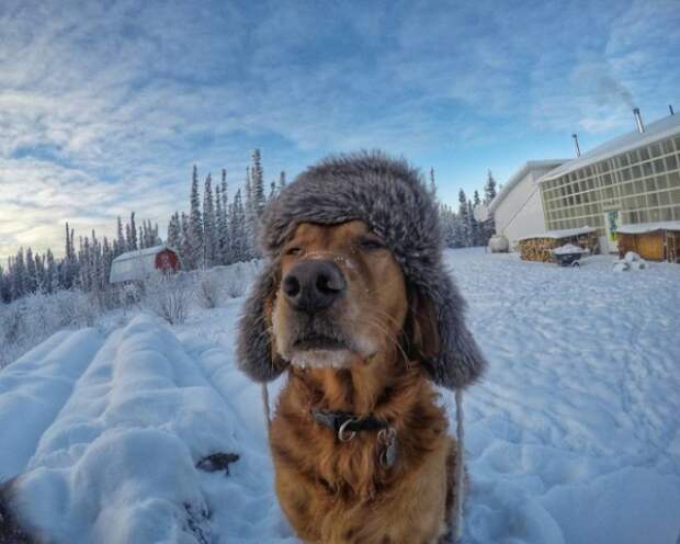 9 фотографий, наполненных очарованием настоящей зимы