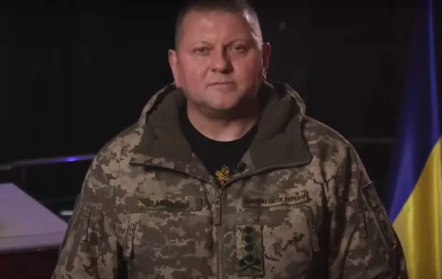 Украинский нардеп заявил, что вместе с главкомом ВСУ хотят уволить всех его замов