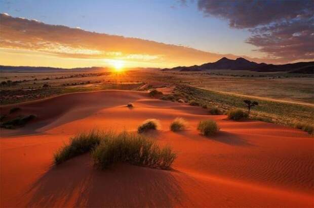 Вокруг света - пустыня Намиб