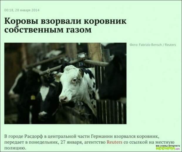 Рейтинг превыше всего