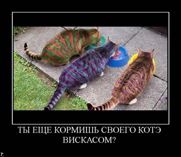 Подборка демотиваторов (84 фото)