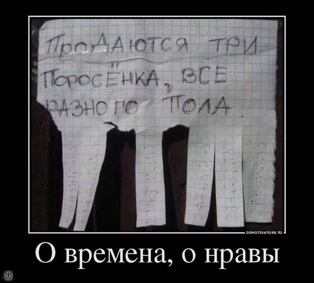 Называй вещи своими именами 10