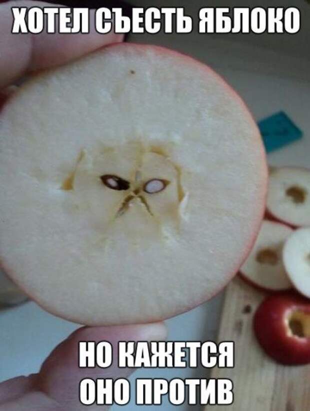 Они следят за тобой