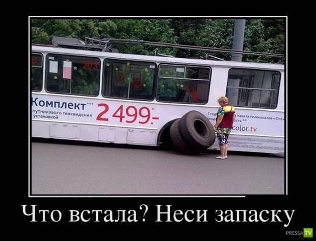 Демотиваторы на июнь, часть 15 (34 фото)