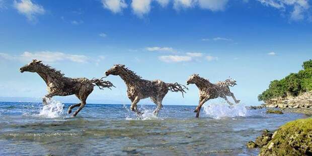 деревянный конь на воде