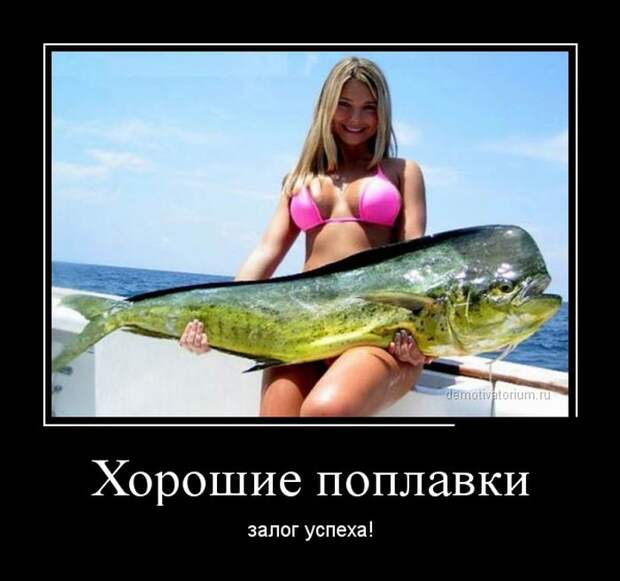 Демотиваторы демотиваторы