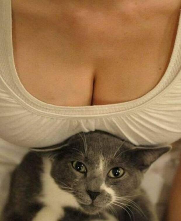 Подборка прикольных картинок (45 фото)