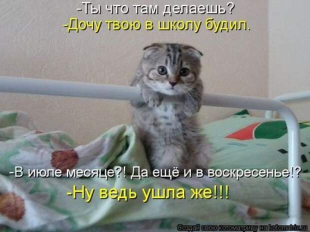 Животные мысли вслух Животные мысли вслух