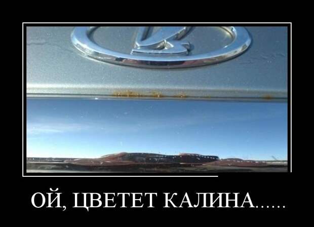 Демотиваторы демотиваторы, прикол, смех, юмор