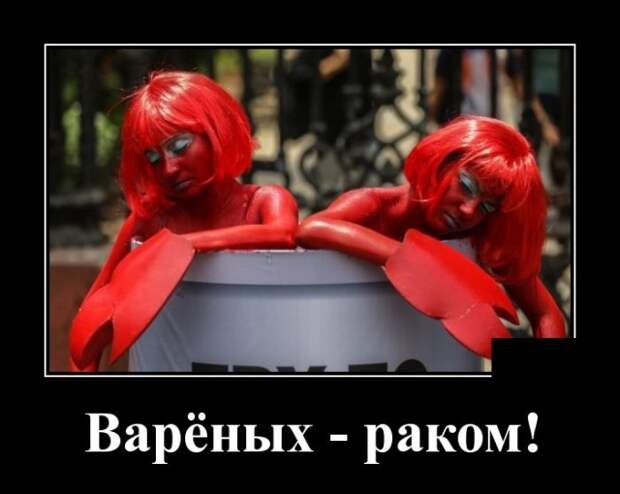 Демотиваторы (30 фото)
