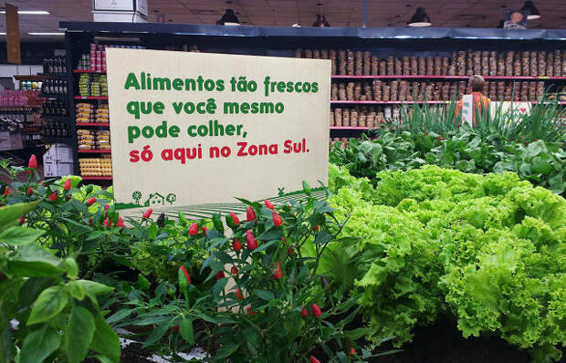 3061399-inline-s-1-at-this-brazilian-supermarket-customers-pick-produce-from-a-garden