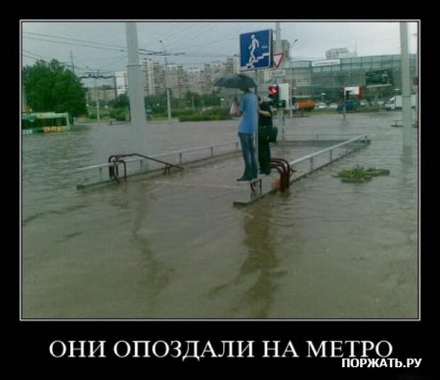 демотиваторы картинки