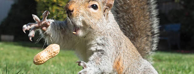Perfectly timed photos 4 43  605