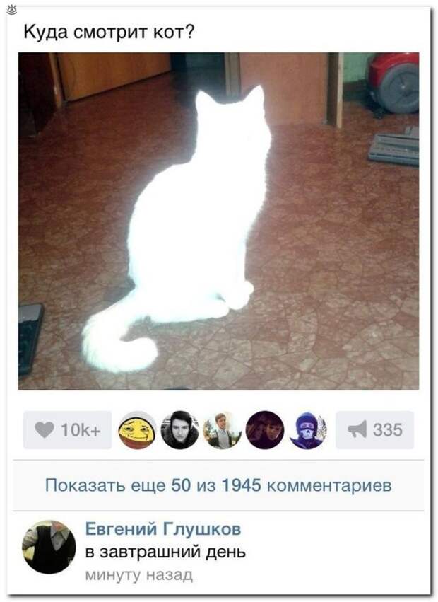 Чудные надписи из соцсетей 3