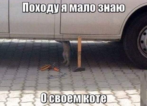Немного автоприколов