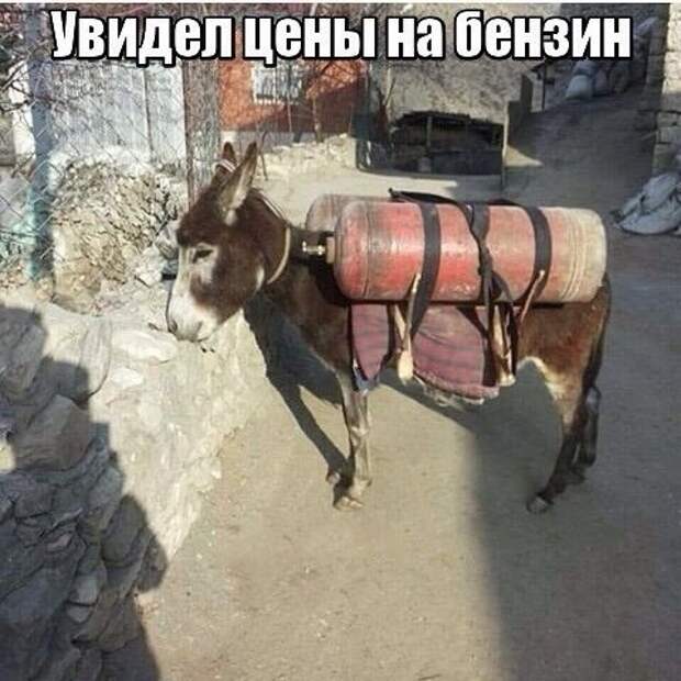 Автоприколы