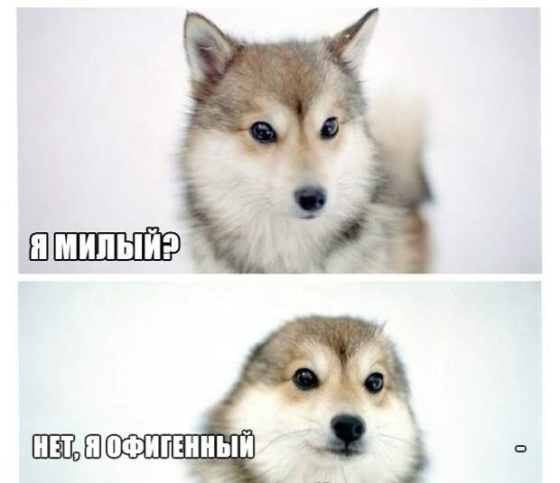 Мысли вслух Мысли вслух