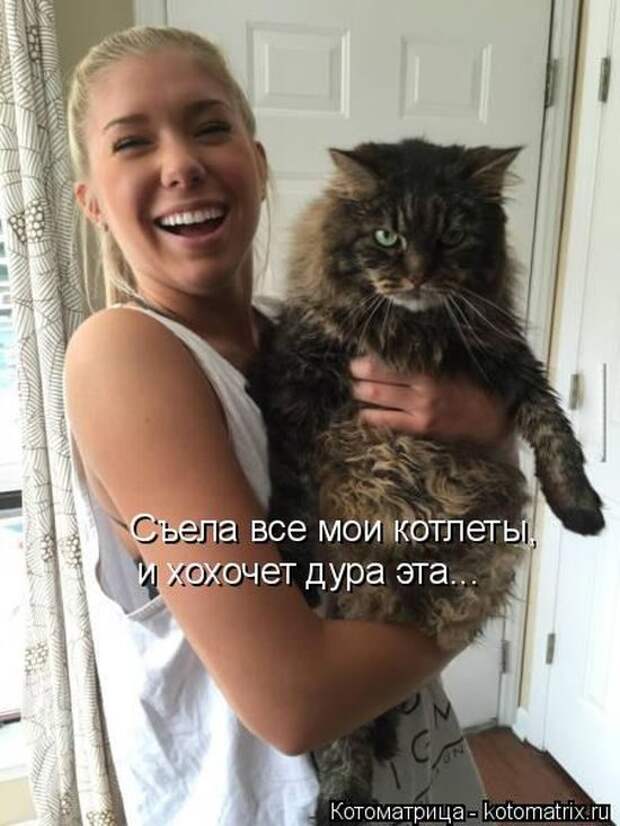 Лучшие котоматрицы недели