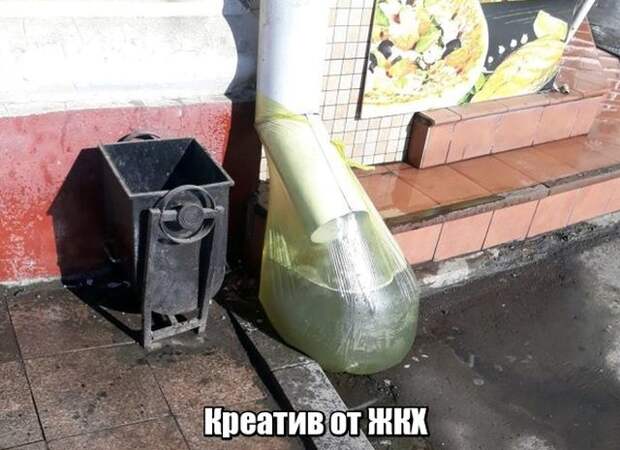 Подборка картинок Подборка картинок