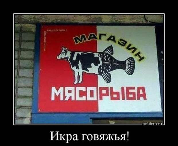 Свежий сборник демотиваторов (12 шт)