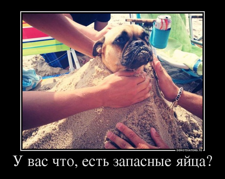 Демотиваторы 
