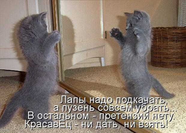 566a252962ba33bdebf3a3c132803d74_101327