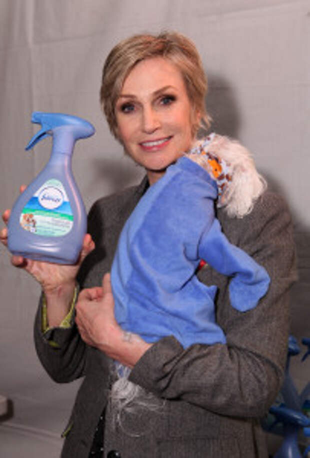 Backstage Creations Treat Suite At Fox's "Cause For Paws - An All-Star Dog Special"
