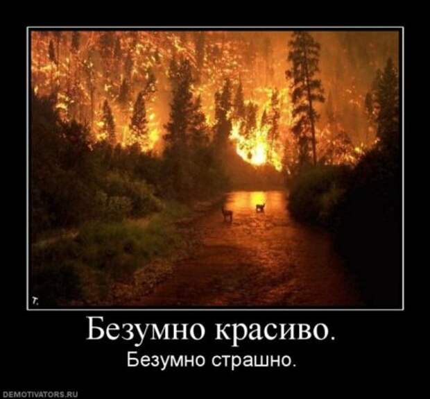 Серьезные и умные демотиваторы.