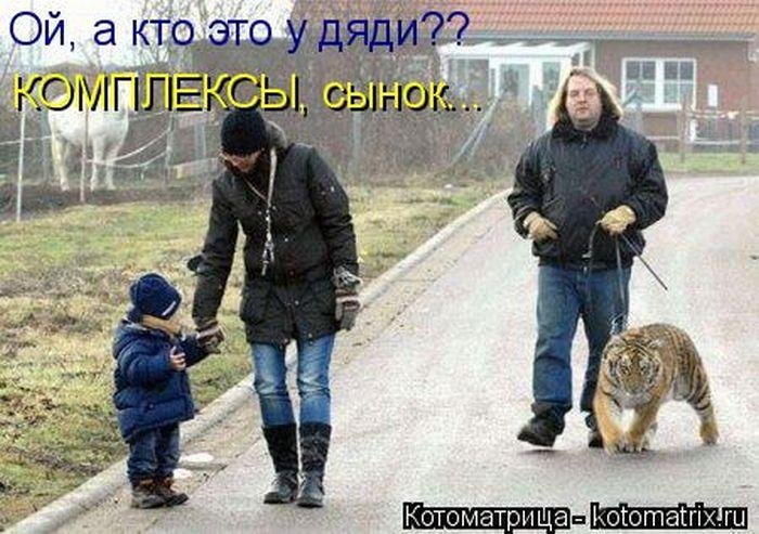 Прикольные котоматрицы Прикольные котоматрицы