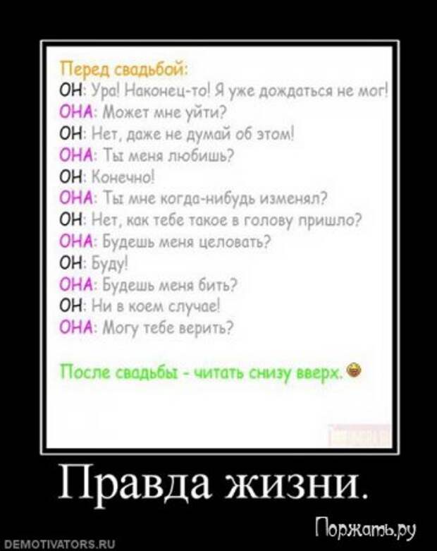 Димативаторы (21 фото)