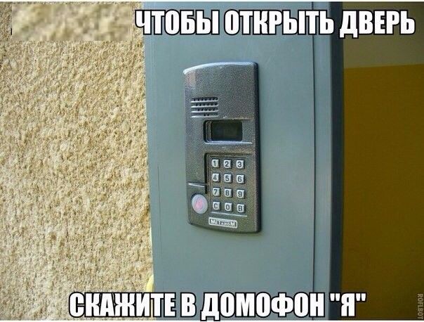 Смешные картинки с подписями катинки, прикол, юмор