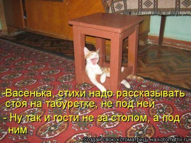 Новая котоматрица (36 фото)