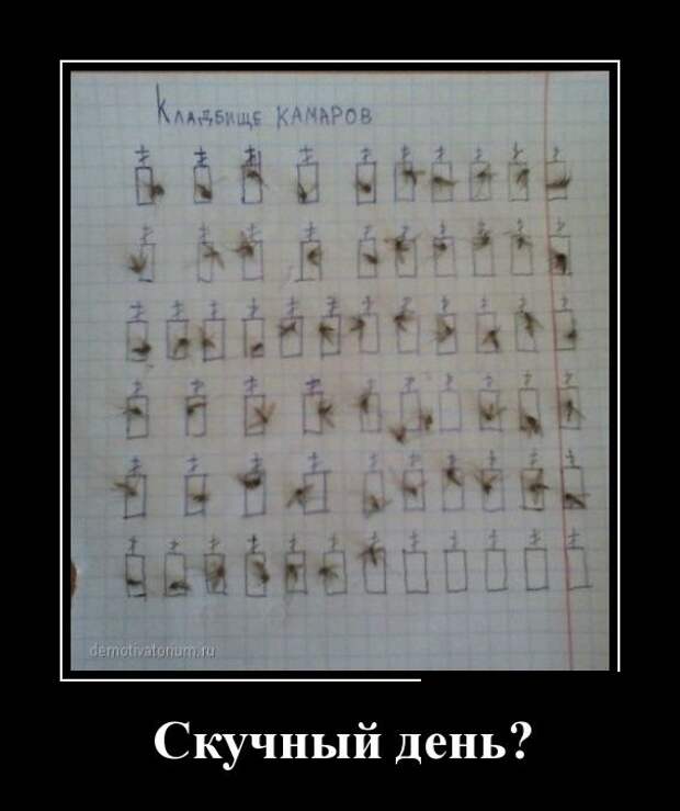 Демотиваторы (30 фото)