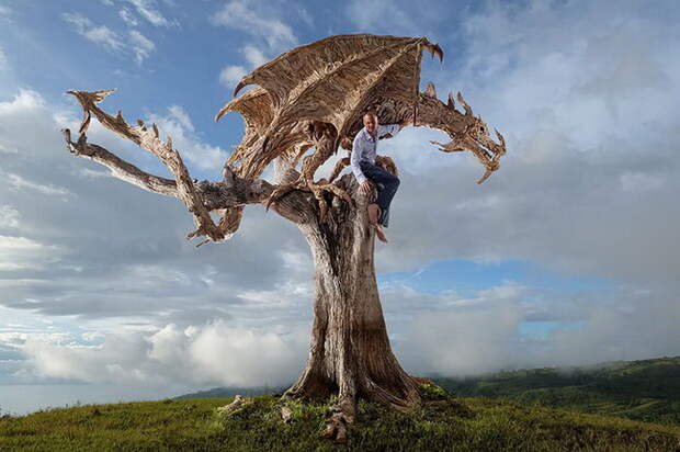 Деревянные скульптуры James Doran-Webb