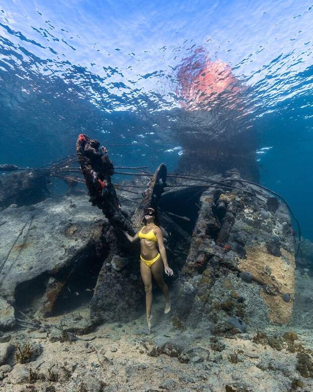 Андре Масгроув (André Musgrove) и его невероятные подводные снимки