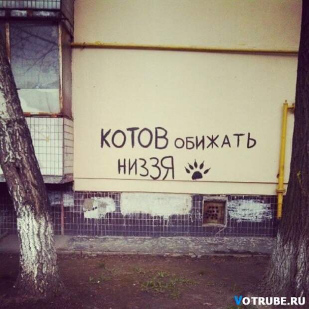 Когда корявые надписи на стенах смотрят прямо в душу Выпуск 595 (23 фото)