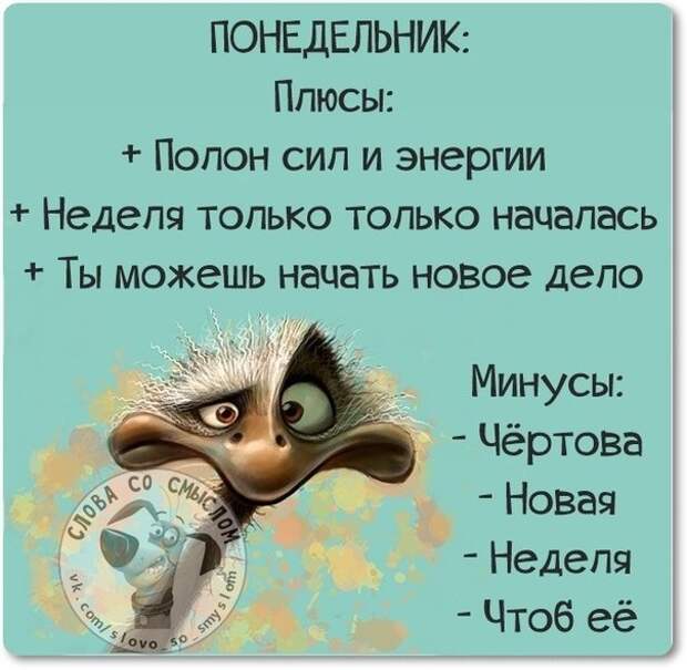 Прикольные картинки с позитивными фразками