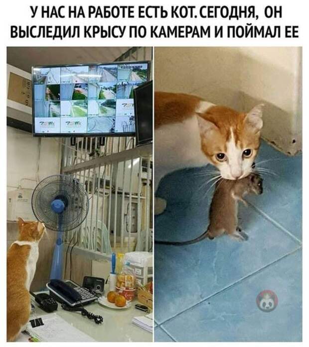 Охранник Охранник