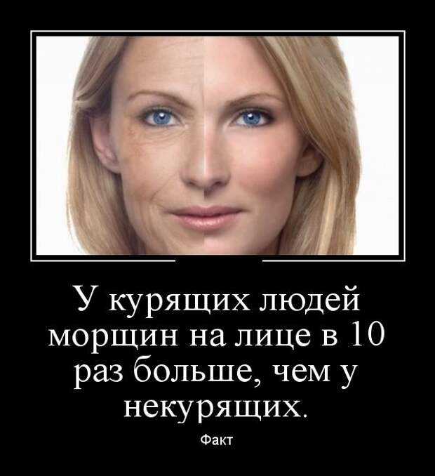 Демотиваторы №1202 (30 фото) Демотиваторы №1202 (30 фото)