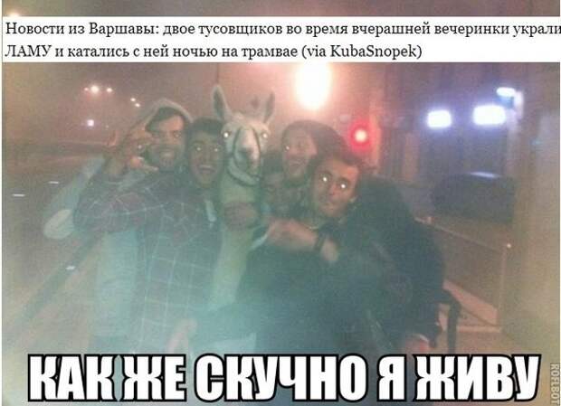 Очередная порция приколов прикол, фото, шутка, юмор