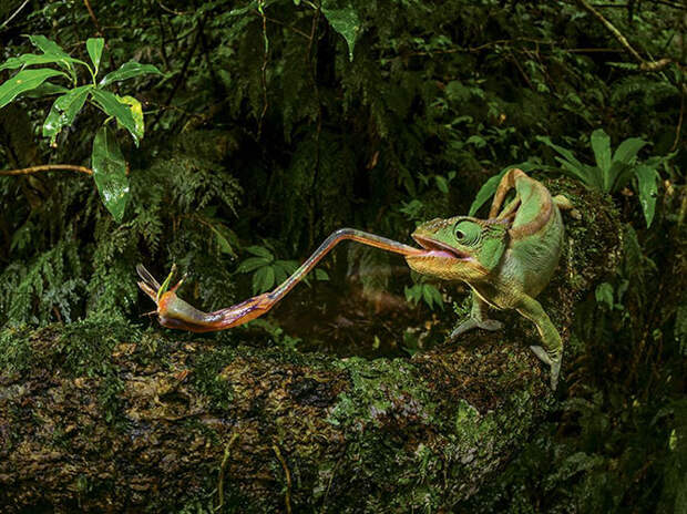 Лучшие фотографии августа 2015 от National Geographic