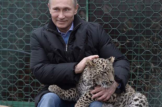 Путин становится лидером мира по версии Time Путин становится лидером мира по версии Time