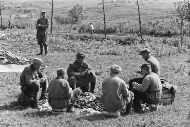 Из альбома венгерского военкора. 1942 год