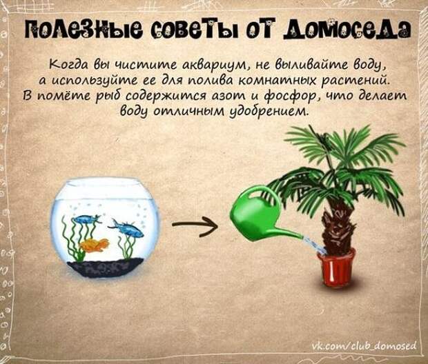 Полезные советы в картинках