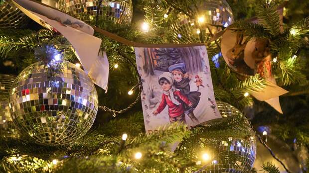 Затянувшиеся праздники: почему важно избавиться от новогодней елки и как это грамотно сделать