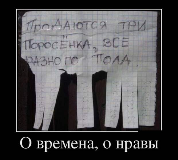 Демотиваторы демотиваторы, юмор