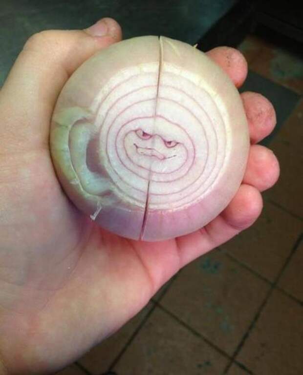 забавный лук