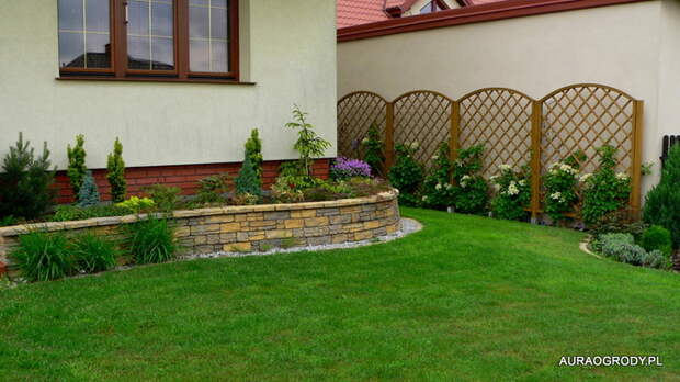 P1230814 (700x392, 152Kb)