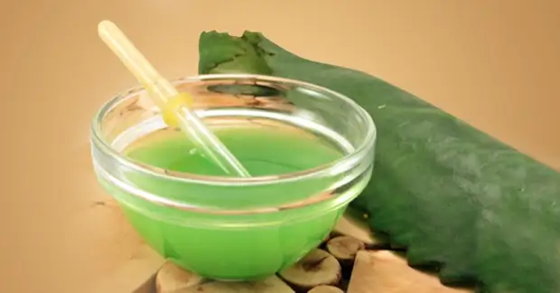 Настоящий доктор у тебя на подоконнике! Как вылечить насморк с помощью каланхоэ