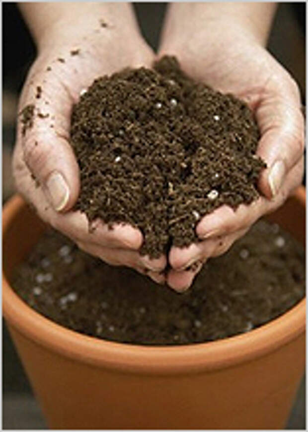 http://greendom.net/images/plants/articles/soil2.jpg